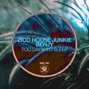 Zico House Junkie - Too Dark To Sleep (Original Mix) Ft. Benjy