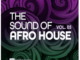 Afro Exotiq – Woza (Nitefreak Remix)