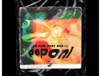Dr Feel – Peponi (Original Mix) Ft. Zhane