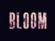 EP: Lewis Capaldi - Bloom