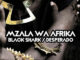 Mzala Wa Afrika - Desperado (Original Mix)