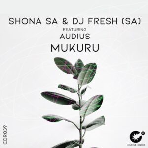 Shona SA - Mukuru Ft. Audius & DJ Fresh