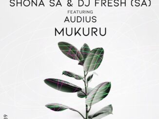 Shona SA - Mukuru Ft. Audius & DJ Fresh