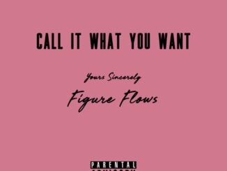 EP: Figure flows – Call It What You Want