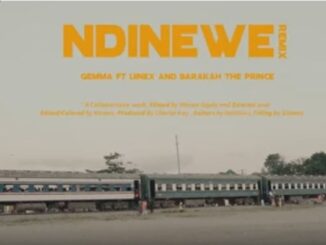 VIDEO: Gemma – Ndinewe (Remix) Ft. Linex and Barakah The Prince