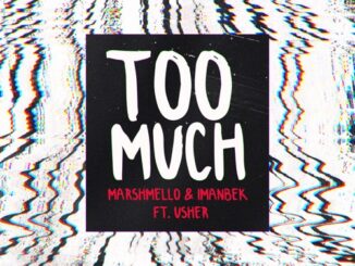 Marshmello & Imanbek – Too Much (feat. Usher)