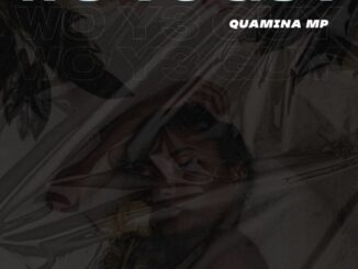 Quamina Mp – Wo Y3 Guy