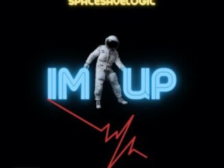 SpaceSaveLogic – Im Up