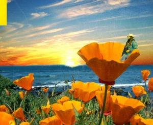 ALBUM: Rexx Life Raj – California Poppy 2