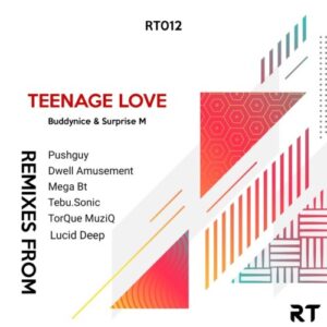 Buddynice  – Teenage Love Ft. Surprise M (TorQue MuziQ Afro Tech Mix)