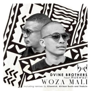 Dvine Brothers – Woza Mali (Incl. Remixes) Ft. Nokwazi