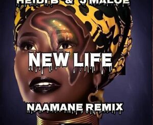 Heidi B – New Life (Naamane Remix) Ft. J Maloe