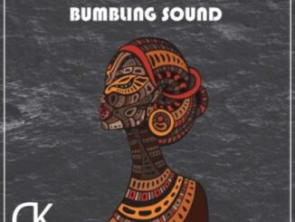Midnight SA – Bumbling Sound Ft. TorQue MuziQ