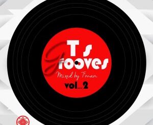 VA – T’s Grooves Vol.2