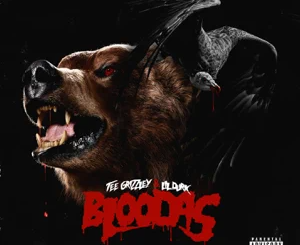 ALBUM: Tee Grizzley & Lil Durk – Bloodas