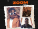 Cheque – ZOOM (Remix) [feat. Wale & Davido]