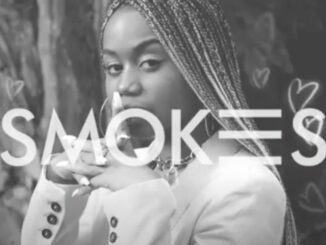 Sha Sha – Never Let You Go Ft. Smokes (Original Mix)