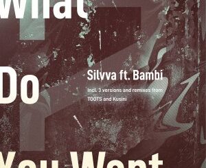 EP: Silvva – What Do You Want Ft. Bambi