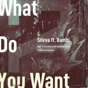 EP: Silvva – What Do You Want Ft. Bambi