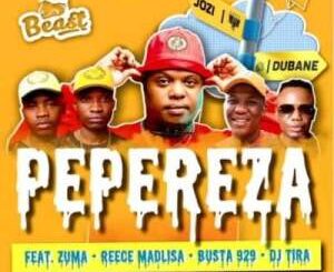 Beast – Pepereza Ft. DJ Tira, Reece Madlisa, Zuma, Busta 929