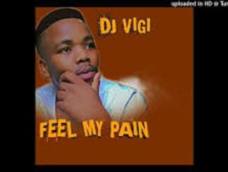 Dj Vigi – feel My Pain