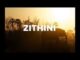 Mr Jazziq  – Zithini (Prod. FIBBS) Ft. Lady Du, Zuma & Busta 929
