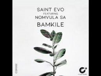 Saint Evo – Bamkile Ft. Nomvula SA (Original Mix)