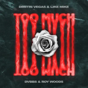Dimitri Vegas & Like Mike, DVBBS, Roy Woods – Too Much