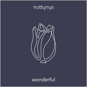 Nutty Nys – Wonderful (Original Mix)