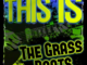 ALBUM: The Grass Roots – This Is the Grass Roots (Rerecorded)