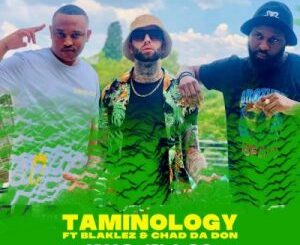 Taminology – Nkao Jola 2.0 ft Chad Da Don & Blaklez