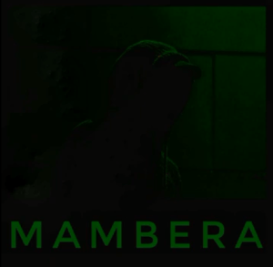 Wolcott – Mambera (Original Mix)