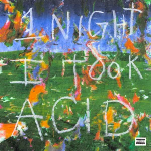 ALBUM: BigBabyGucci – 1 Night I Took Acid