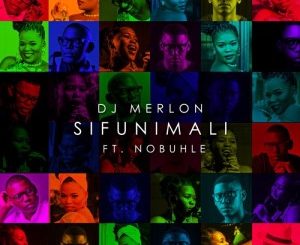 DJ Merlon – Sifuni Mali Ft. Nobuhle (Julu Sound Remix)