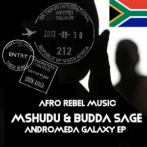 Mshudu – Venom (Original Mix) Ft. Budda Sage