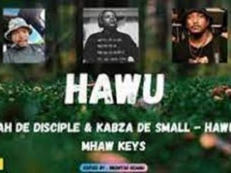 Josiah De Disciple – Hawu Ft. Mhaw Keys & Kabza De Small