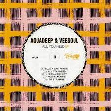EP: Aquadeep – All You Need Ft. Veesoul
