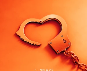 DJ Snake – You Are My High