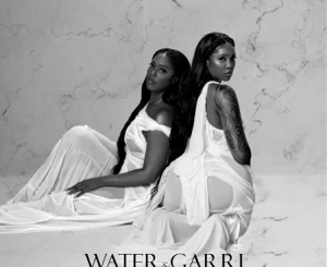 Tiwa Savage – Water & Garri - EP