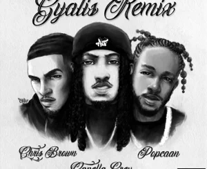gyalis-remix-feat.-chris-brown-single-capella-grey-and-popcaan