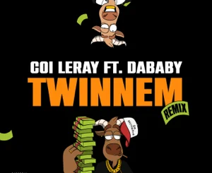twinnem-feat.-dababy-remix-single-coi-leray