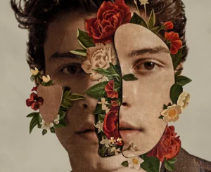 shawn-mendes-shawn-mendes-deluxe