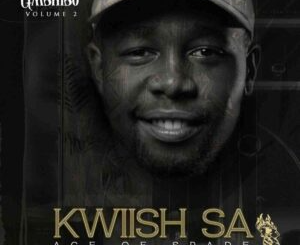 Kwiish SA – Jaiva ft. Sam Deep & MalumNator