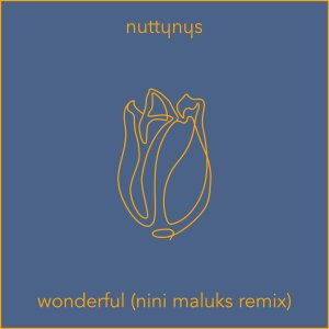 nutty-nys-–-wonderful-nini-maluks-remix