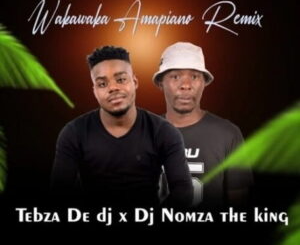 tebza-de-dj-–-wakawaka-amapiano-remix-ft.-dj-nomza-the-king