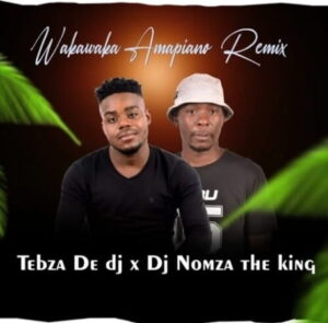 tebza-de-dj-–-wakawaka-amapiano-remix-ft.-dj-nomza-the-king