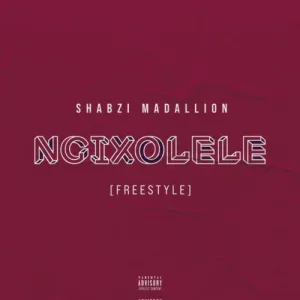 DOWNLOAD-Busta-929-–-Ngixolele-ft-Boohle-ShabZi-Madallion-Remix.webp