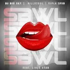 DOWNLOAD-DJ-Big-Sky-–-SBWL-ft-Gipla-Spin-Villosoul.webp