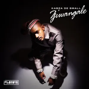 DOWNLOAD-Kabza-De-Small-–-Ziwa-Ngale-ft-DJ-Tira.webp