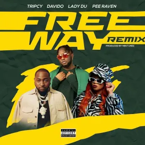 DOWNLOAD-Tripsy-–-Freeway-Remix-Ft-Lady-Du-Davido-Pee.webp